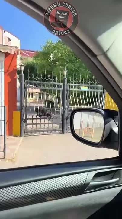   ,  
