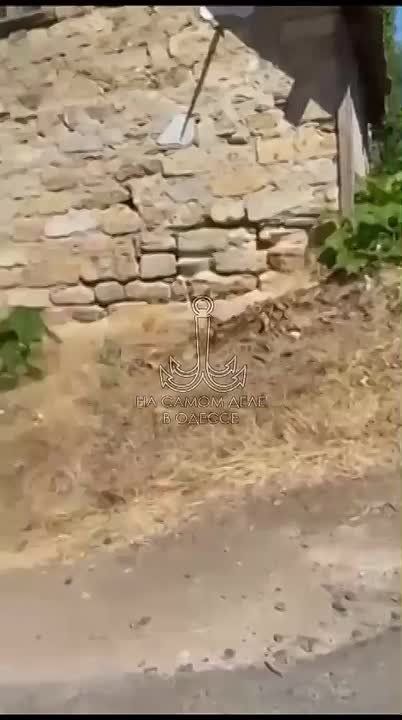   .   ,   