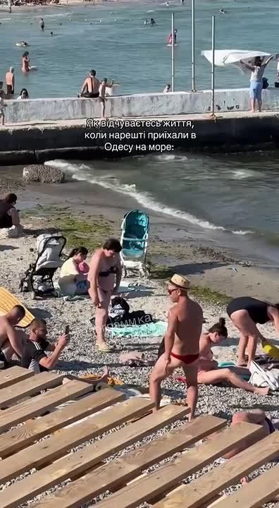     ,       -   