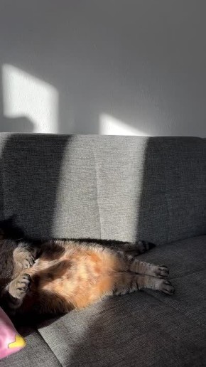  , !.  ,       