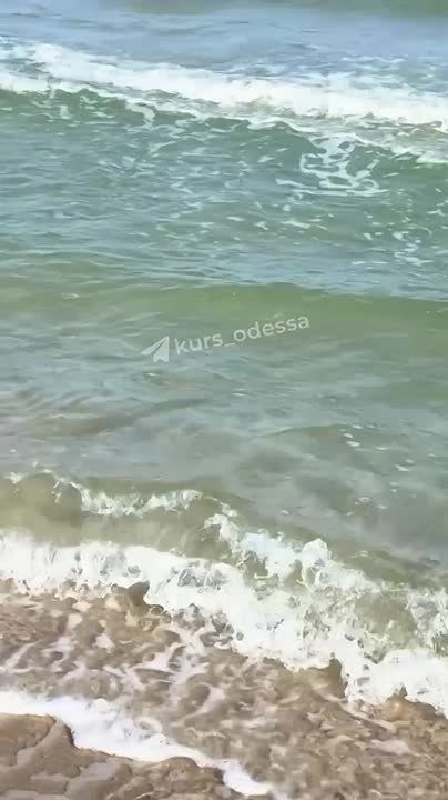 ,  :       