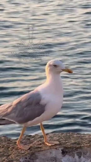  , - 