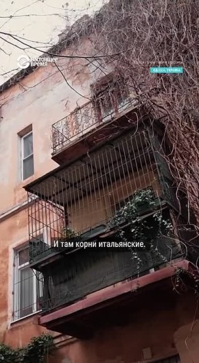  :    .. ,     ,     .    ,      ,     ...