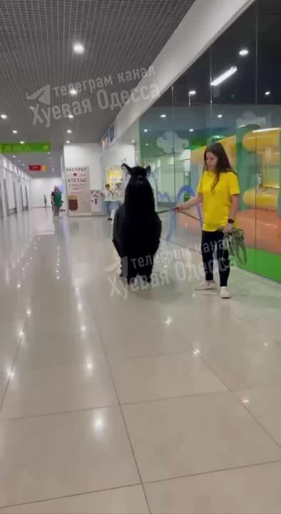 В Сити-центре Одессы была замечена Лама!