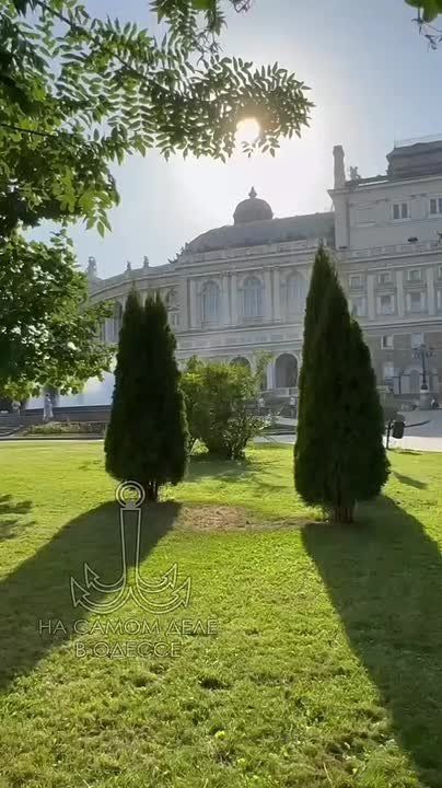 Таки да, Одесса-мама проснулась