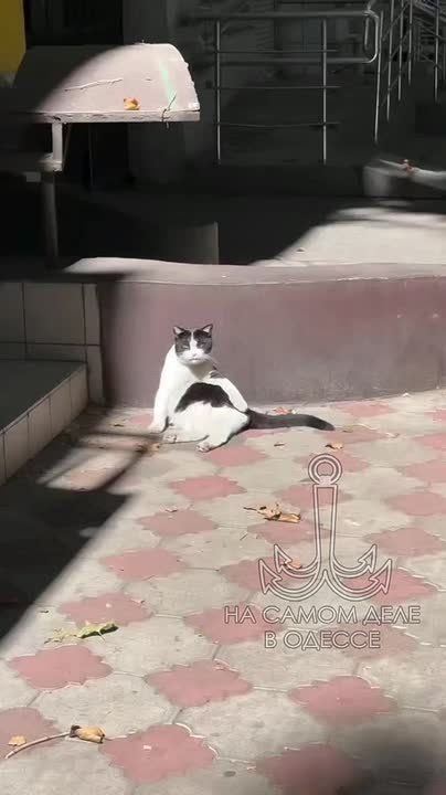  , - 