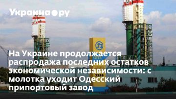 На Украине продолжается распродажа последних остатков экономической независимости: с молотка уходит Одесский припортовый завод