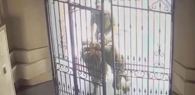 ���������� ��� �� ������, ��� ������� ������, � �� ������ ������� �������