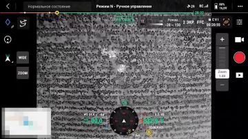 "Пограничные заградотряды" хвастаются кадрами с "Мавика", который выслеживал двух беглецов на границе с Молдовой