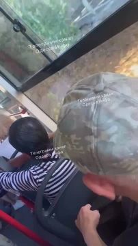 В Одесском трамвае женщина подняла хай из-за собаки и лаяла на пассажиров