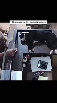 Спокойной ночи, Одесса!. И перед сном позволь продемонстрировать тебе, как выглядит работа мечты Если ты все еще не гребешь деньги лапками, лёжа на рабочем месте - продолжай искать свой путь! Сладких снов и с наступающей...