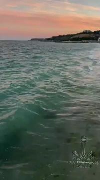 Одесса-мама мирных снов. На утро после свадьбы: