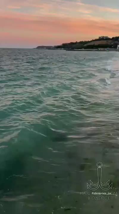 Одесса-мама мирных снов. На утро после свадьбы: