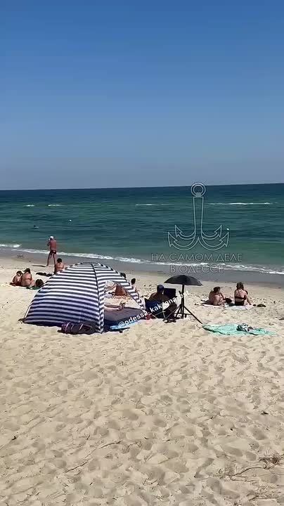 Не плохо устроился на пляже