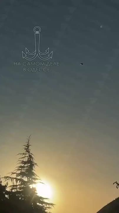      !    ,      ( )