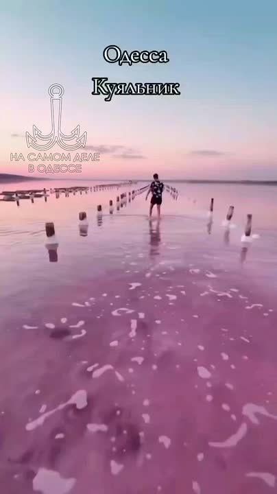 -  .    :