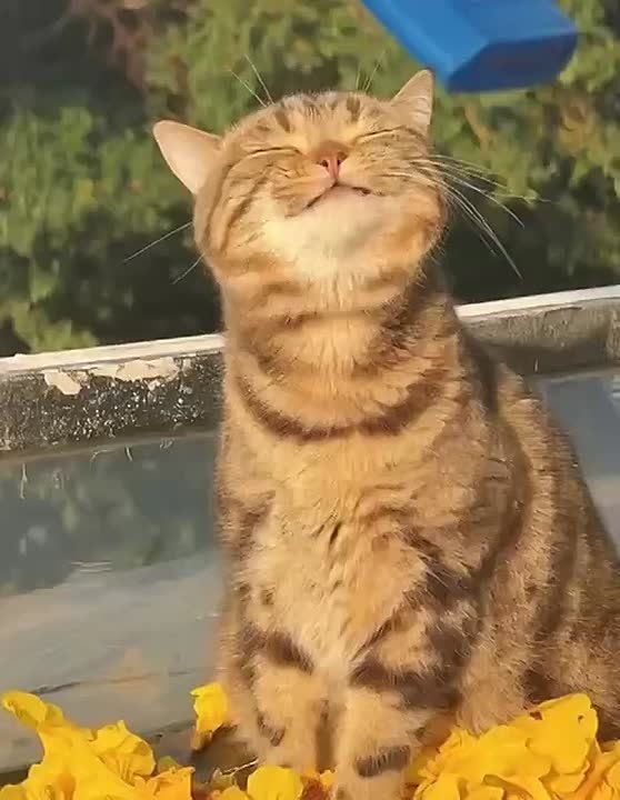     :          +30