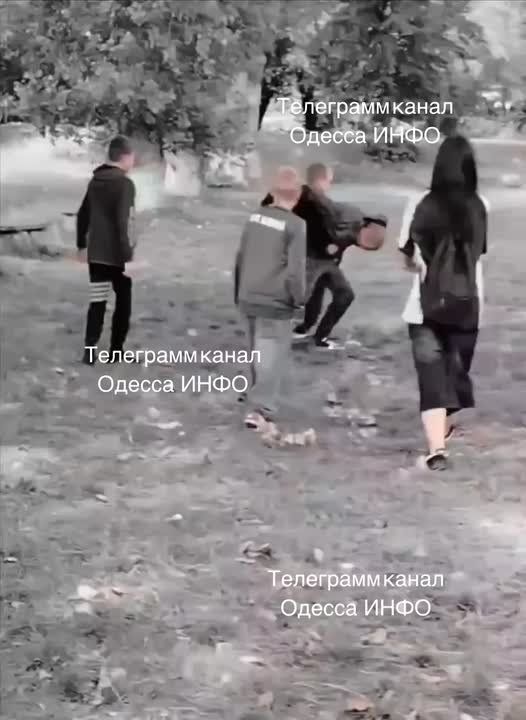       ,   