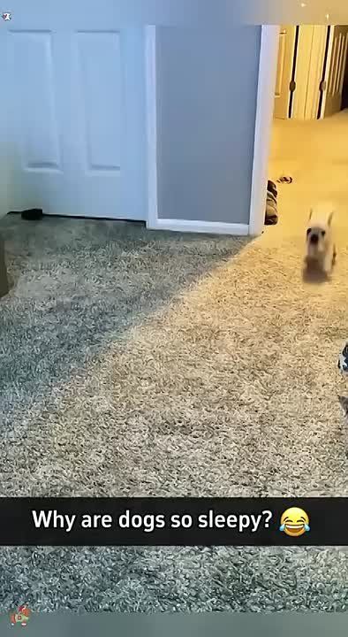    ?.               ,    , !  