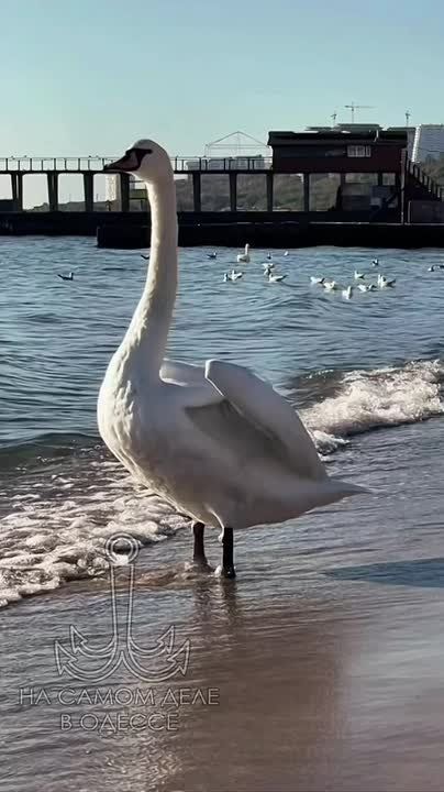  , - 