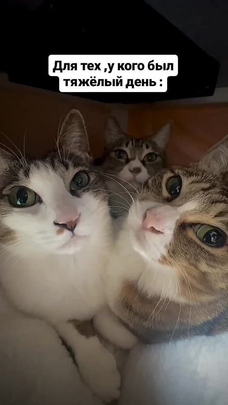  , !.       ,          