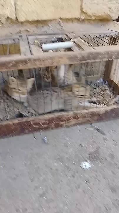   :         