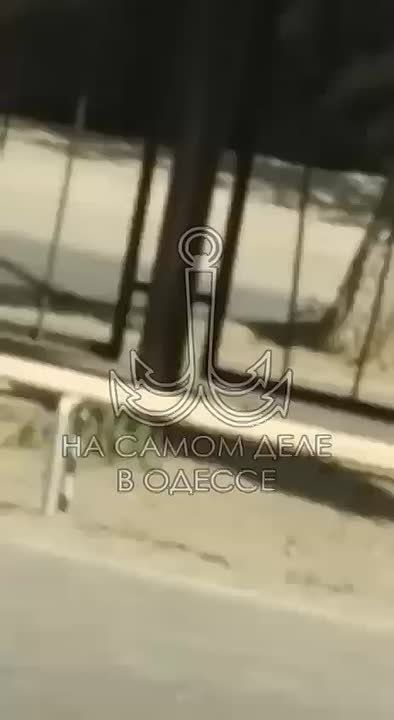  ,    ,         