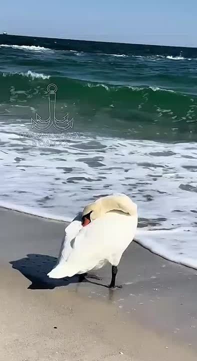  , - 