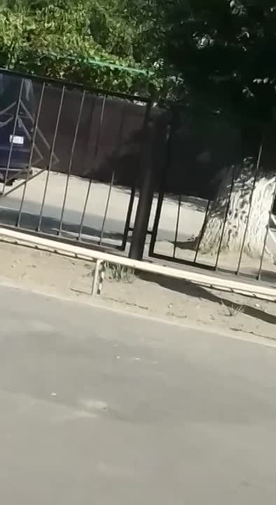   ( )        ,     