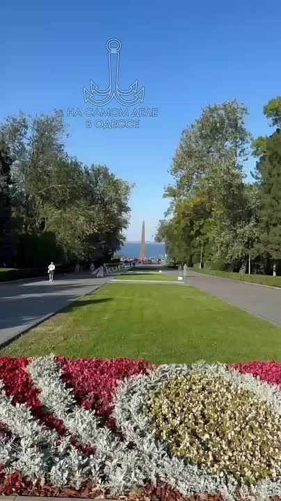         ,       -