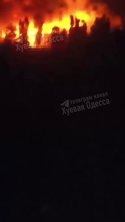 -      &quot;&quot;
