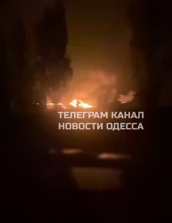      01  - 02  2025 