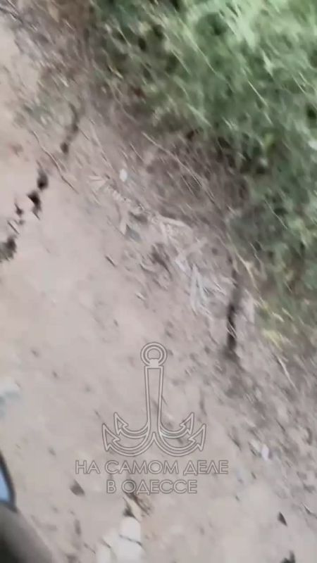 -.      