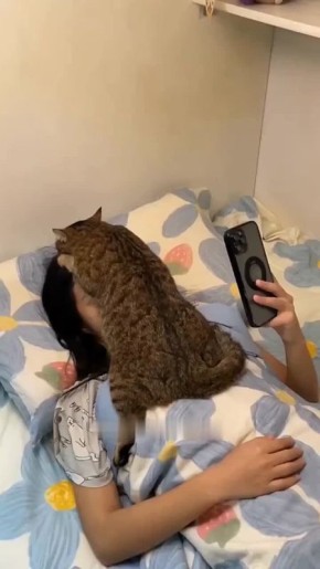  ,     