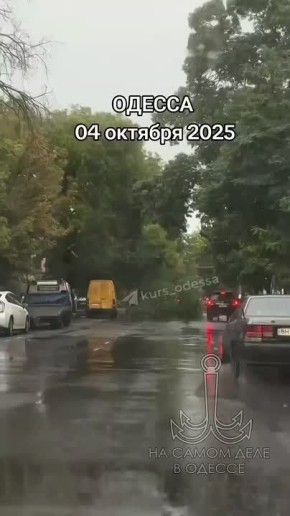      :
