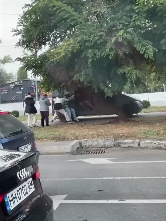 � ������ ������� ���������� ���������� ���������� ��������� � �� ���������� ���������