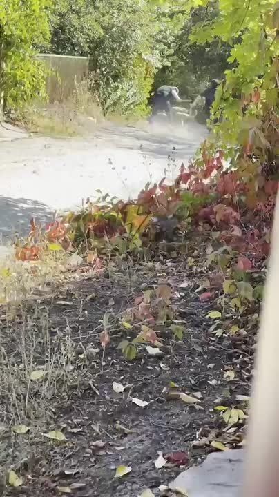 ��� ������ ������ � ������ ������ ��������� � ������