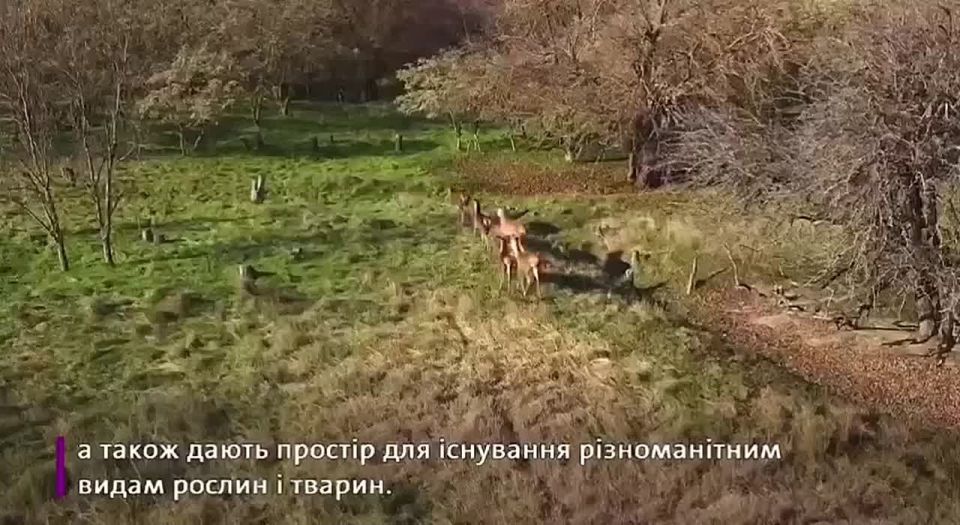 ���� ����������� ����� ��������� �� ���� � ������ ������������ ������ �������� �������