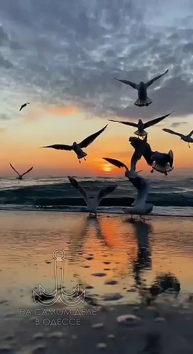 ���� ��, ������-���� ����������