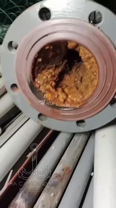 ��������� ���� ������������� � ������ ������ �� ������ �����������