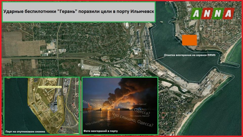   &quot;&quot;        ()  