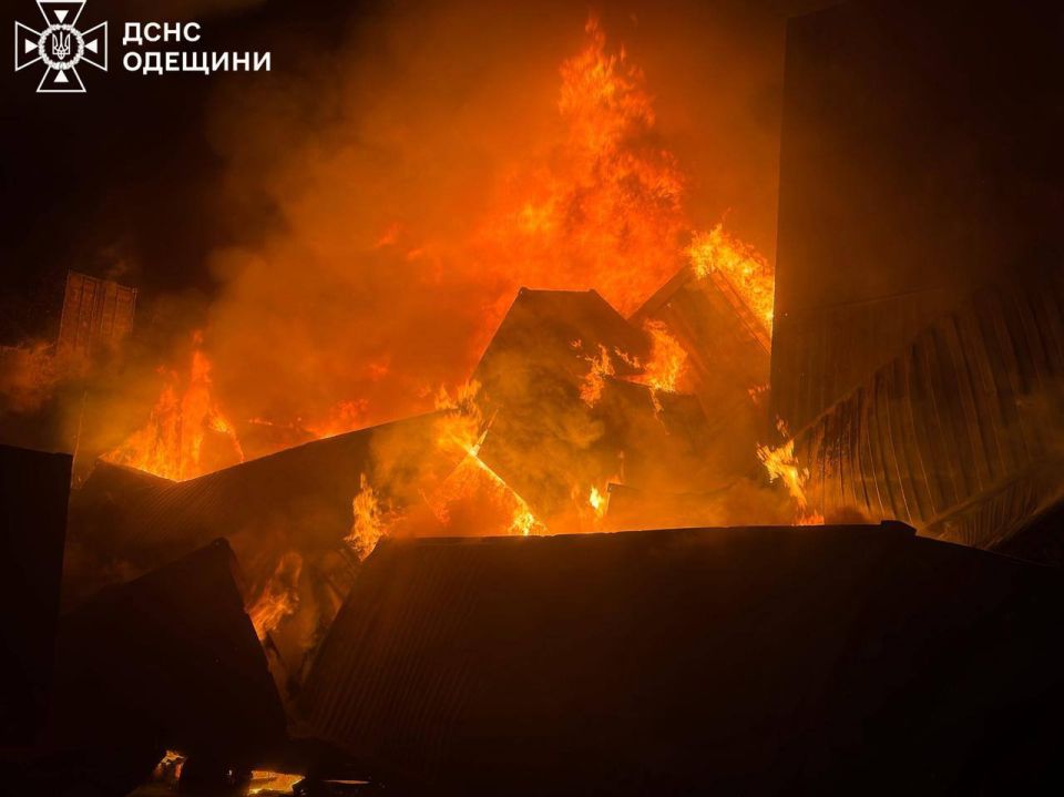 ��� ��������� ������� ���� ����