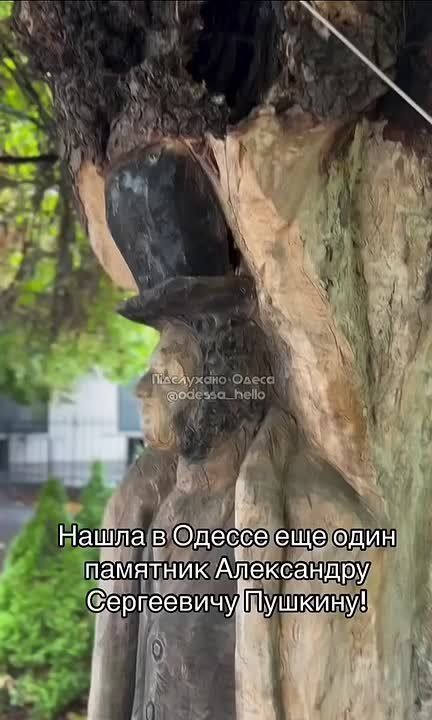 � ������ ����� ��� ���� ���� �������