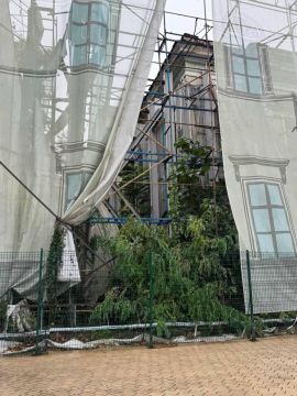 Портал в джунгли появился прямо напротив одесской мэрии