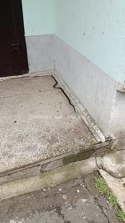 Змея перекрыла вход в подъезд в Одесском доме