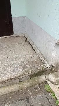 Змея перекрыла вход в подъезд в Одесском доме