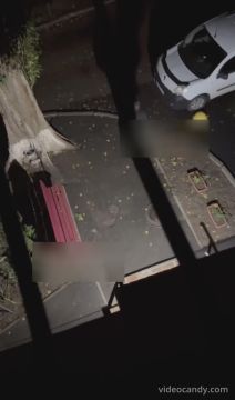 К шизику в Одессе ночью прискакала белочка