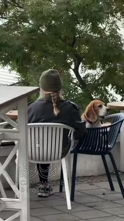 ���� ��, ������-���� ����������