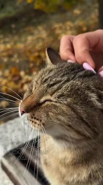 Таки да, Одесса-мама проснулась