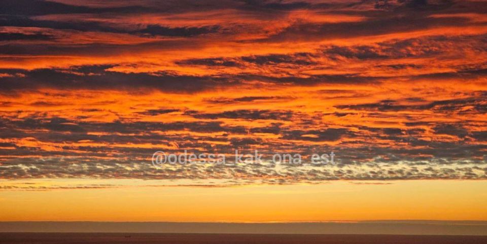 ��� ����� �������� ������� ������� ��������� ������